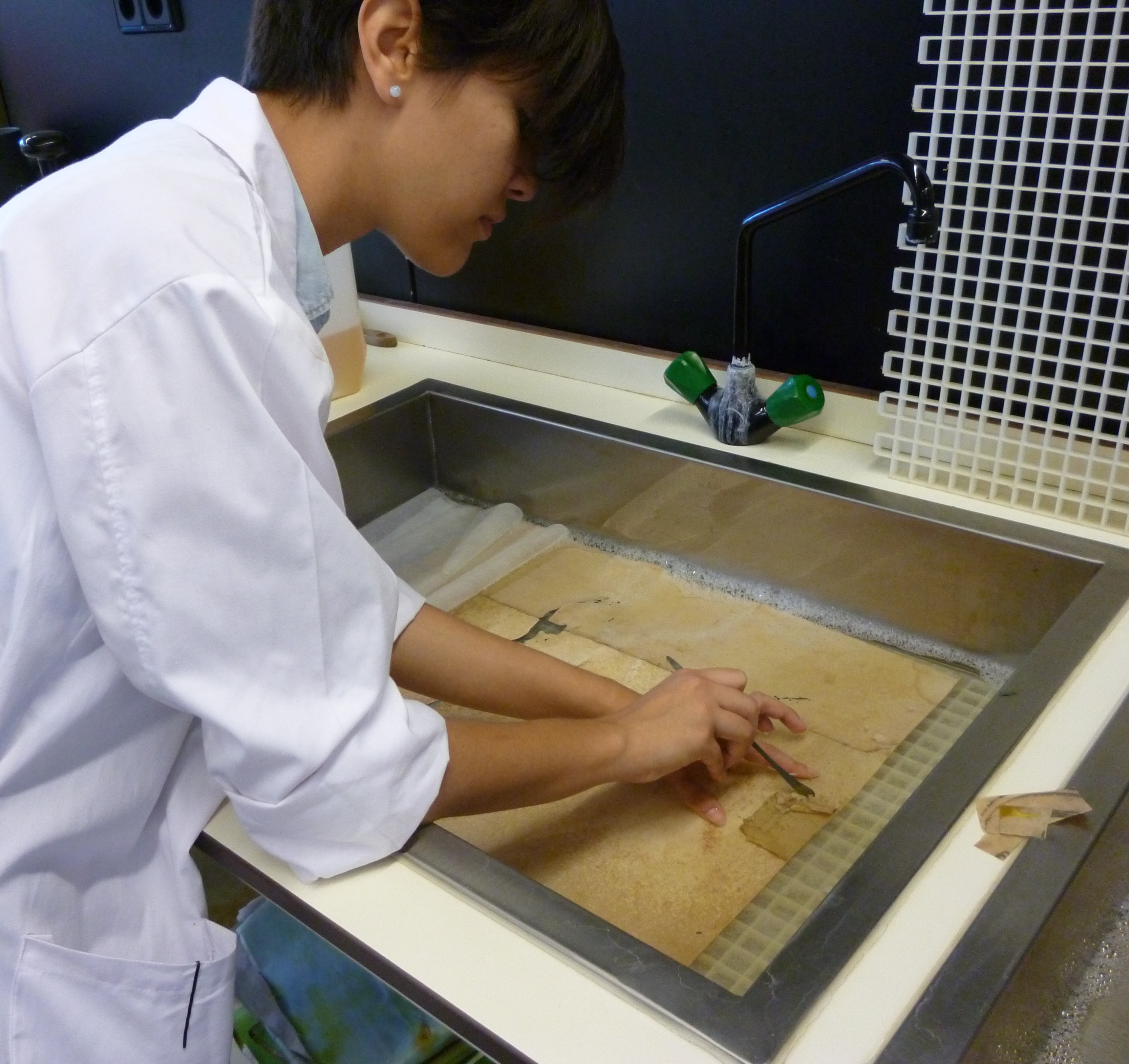 lavado de litografía